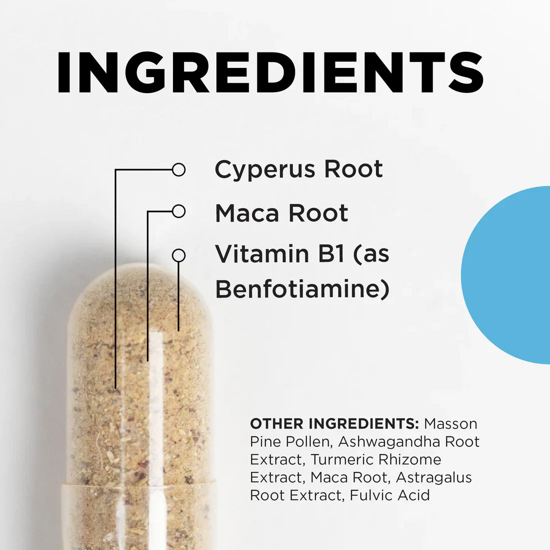 S-TRO Wellness Support Supplement | Hormonal Balance Formula