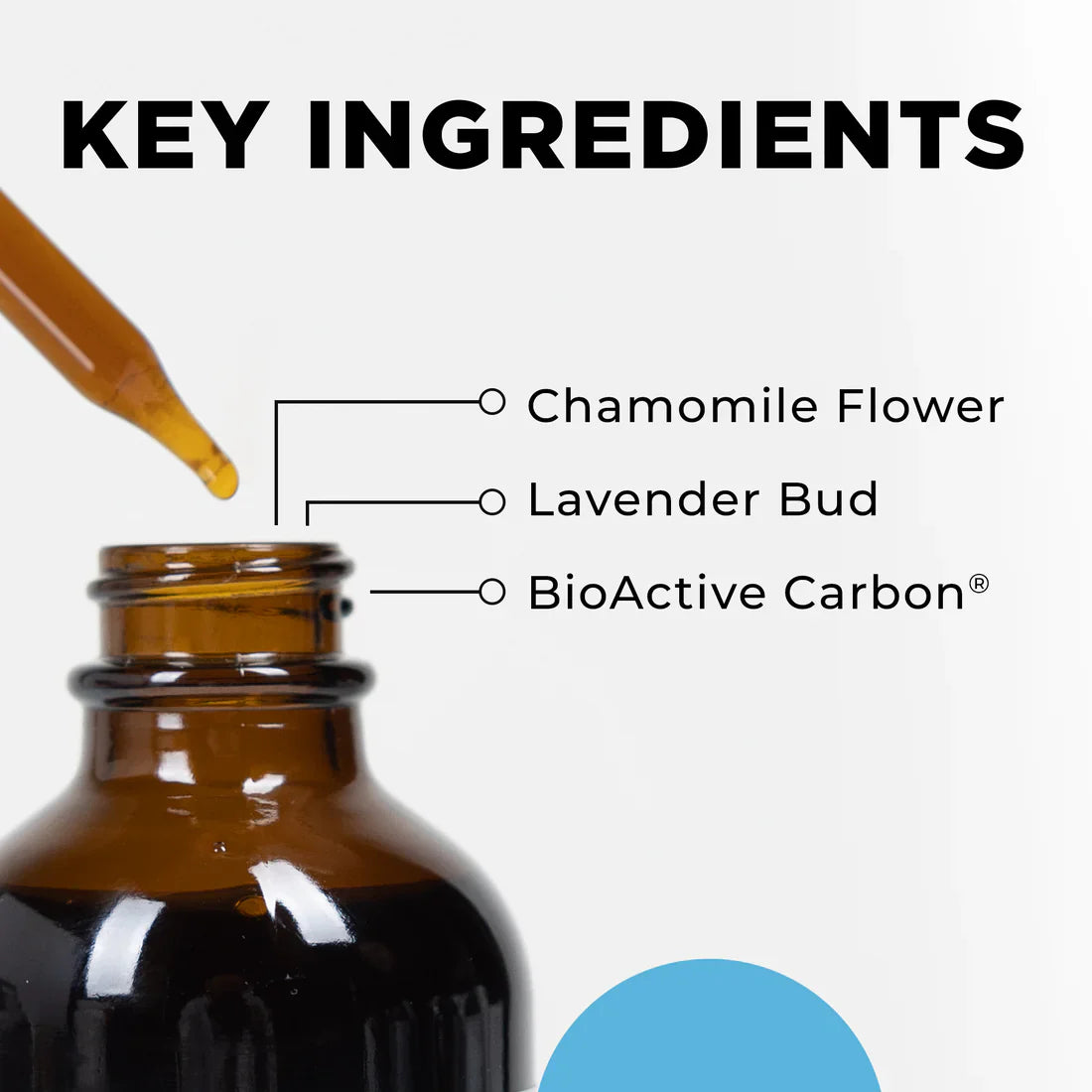 ME Support Wellness Supplement | Metabolic & Energy Balance