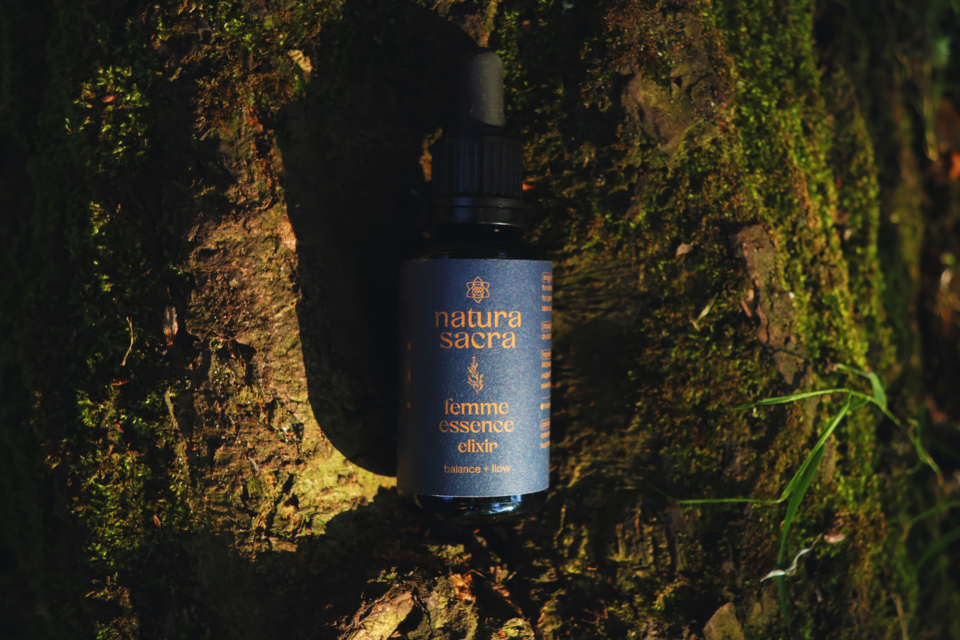 Embodied Femme Collection - Complete Women's Wellness Set