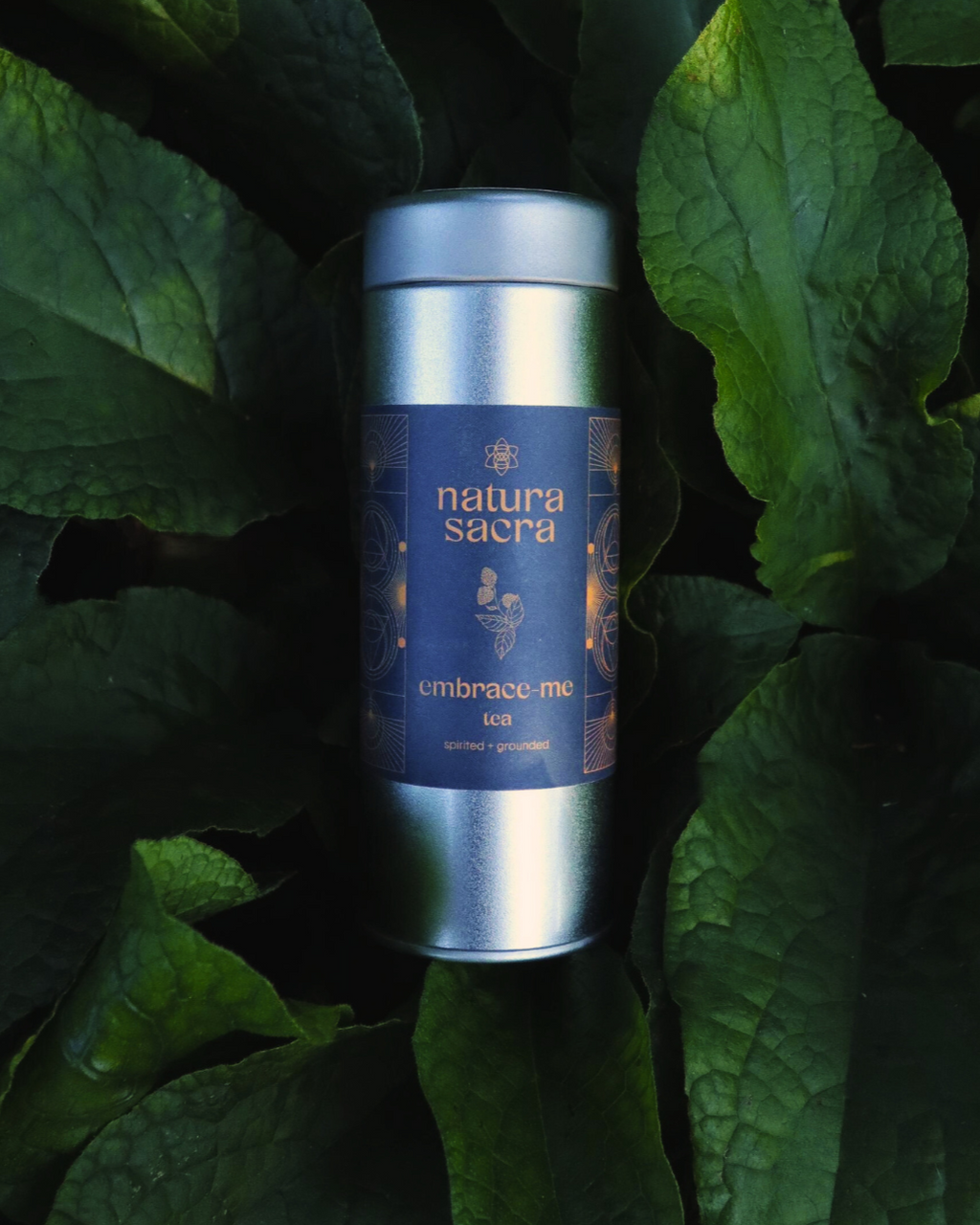 Embodied Femme Collection - Complete Women's Wellness Set