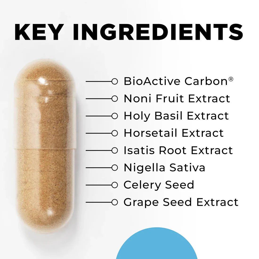 Para 4 Wellness Support Supplement | Digestive Health Formula