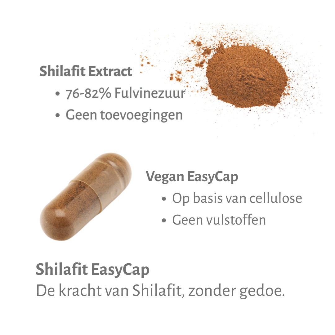 SHILAFIT® | Shilajit Easycaps Supplement