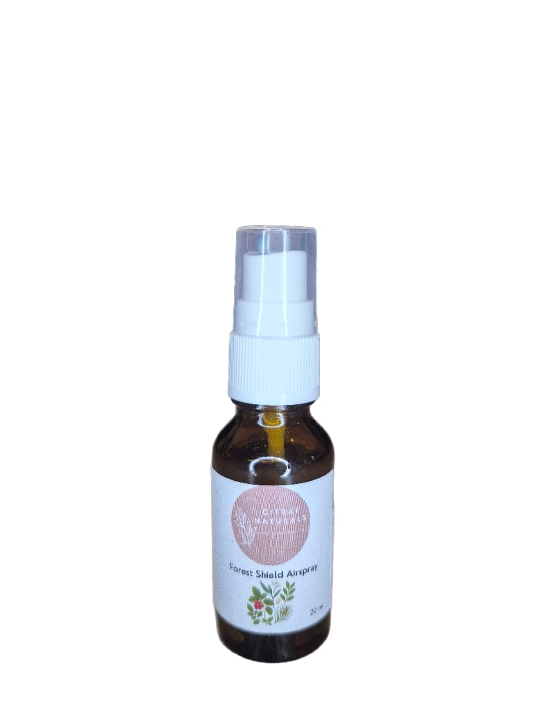 Forest Shield Essential Oil Room Spray - 20ml | Winter Woodland Aromatherapy