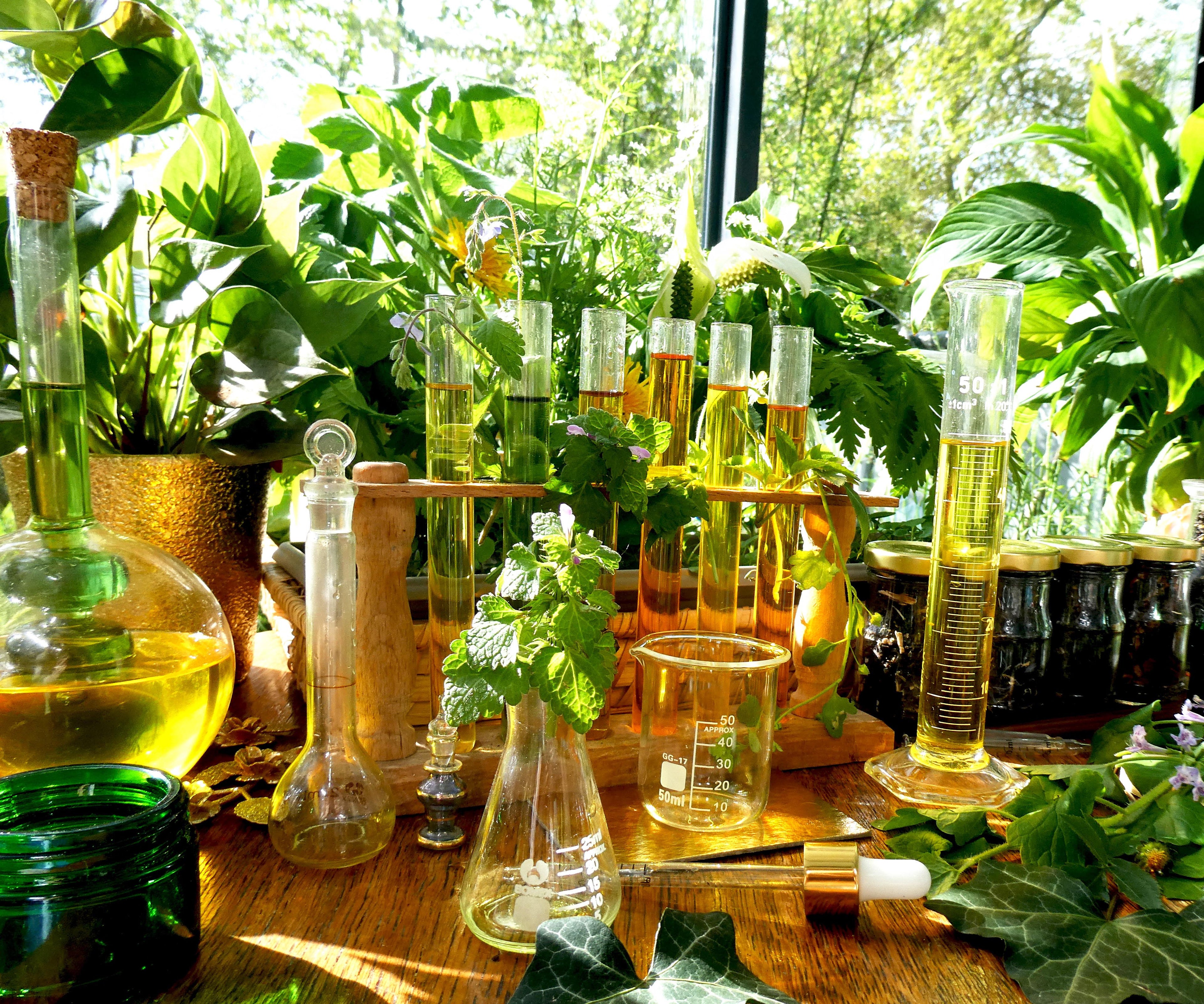 PRO - MERVEILLE DES LANDES BIO - Soin de peau Sensible Régénération Intégrale-8