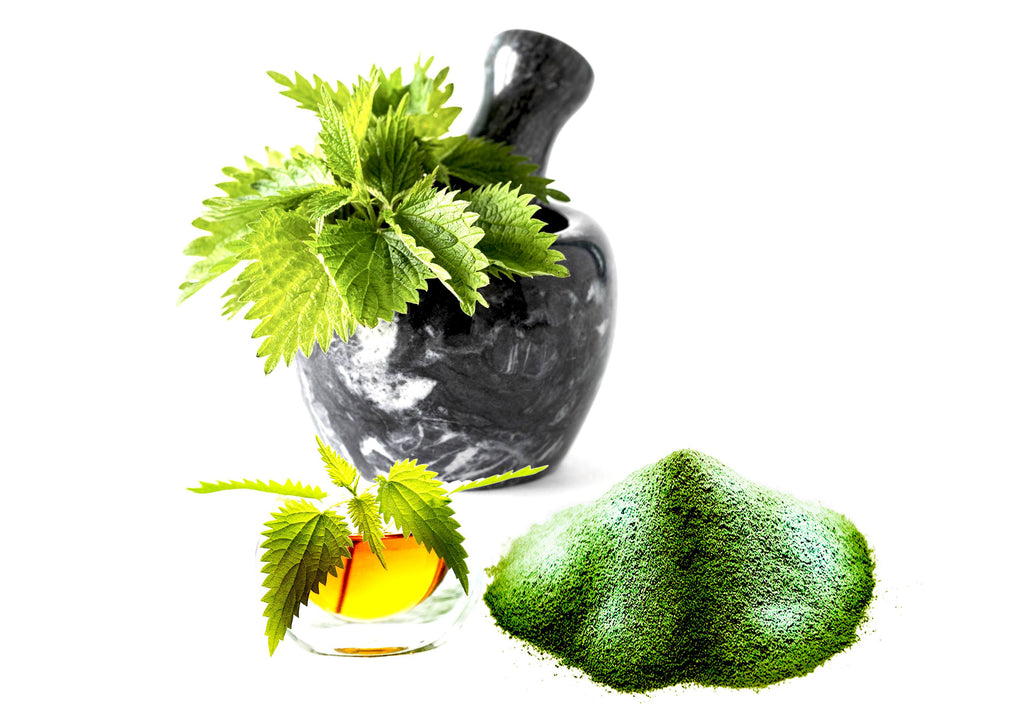 PRO - L'INCROYABLE ORTIE BIO 2000mg - Complément Alimentaire-1