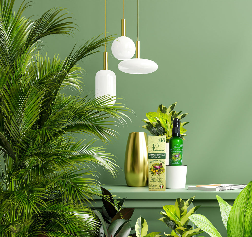 MERVEILLE DES LANDES ORGANIC - Sensitive Skin Care Complete Regeneration Face