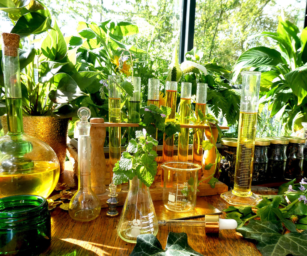 MERVEILLE DES LANDES BIO - Soin de peau Sensible Régénération Intégrale Visage