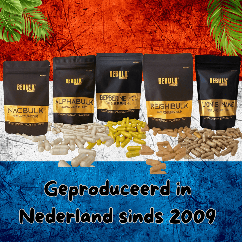 ShilajiBulk - Shilajit 500mg Capsules - Vegan Premium Supplement