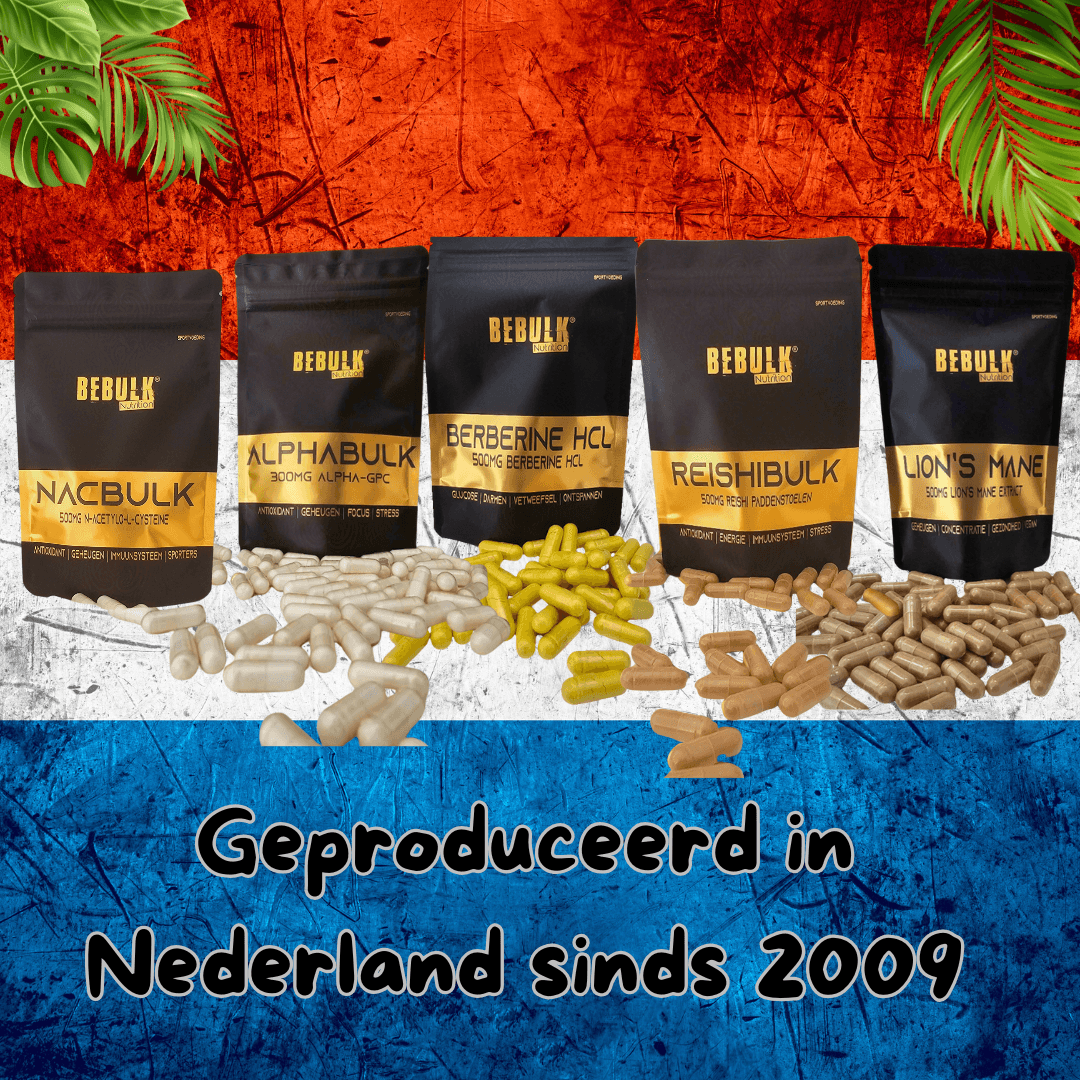 ShilajiBulk - Shilajit 500mg Capsules - Vegan Premium Supplement